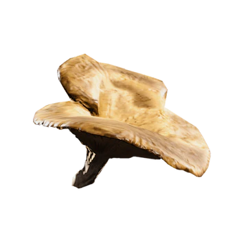 Mushroom